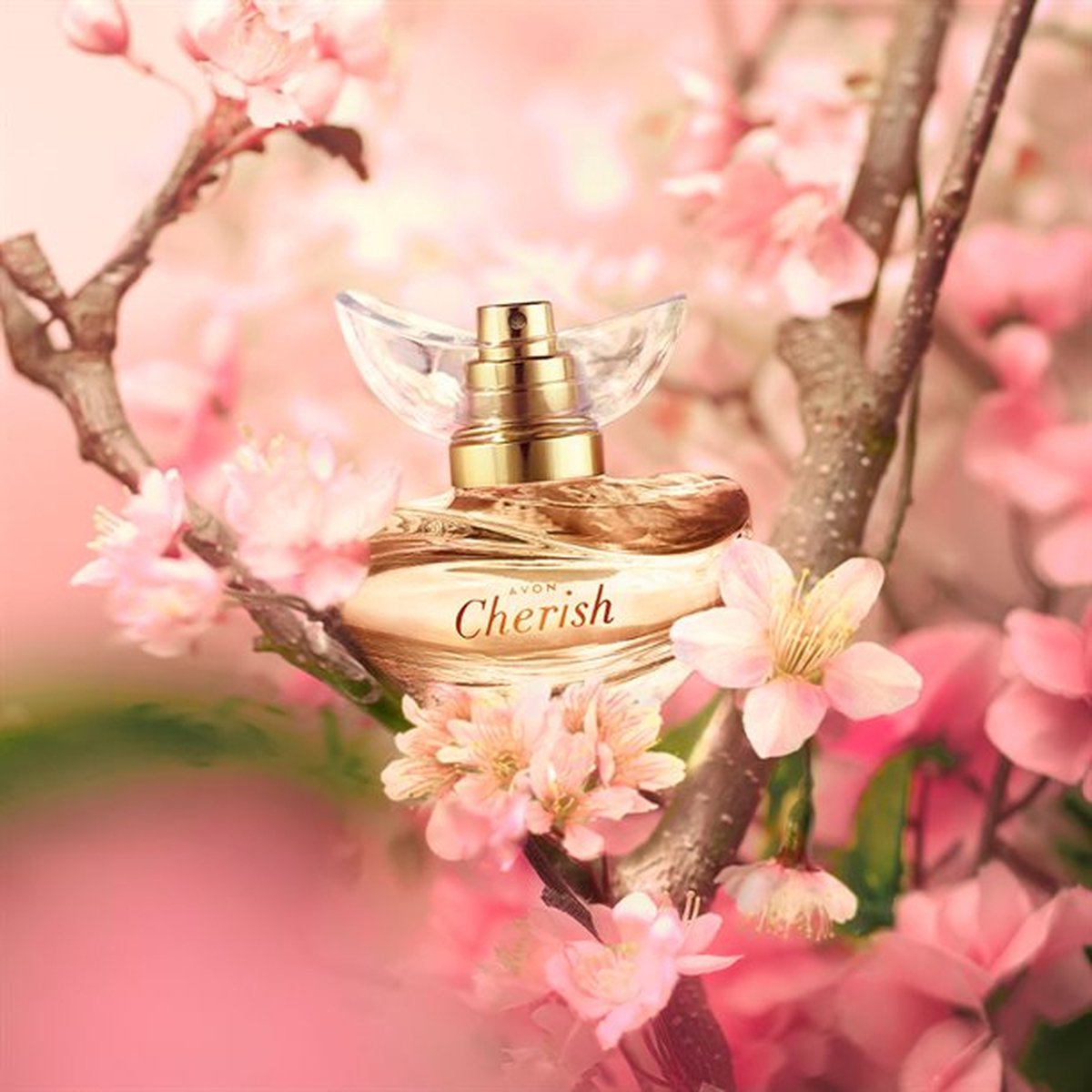 Cherish EDP 50 ML