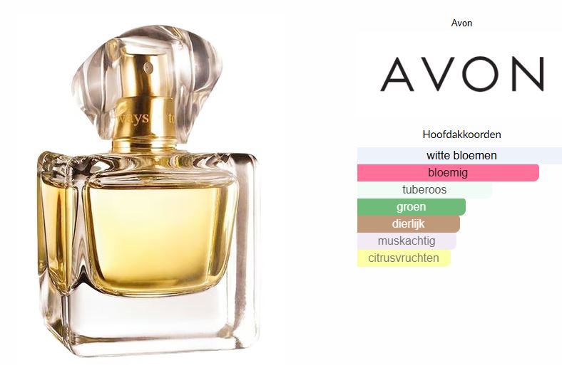 TTA TODAY Eau De Parfum 100 ml